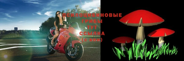 гашик Баксан