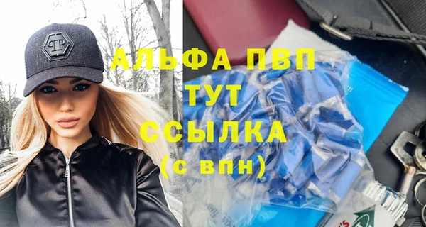 индика Балабаново