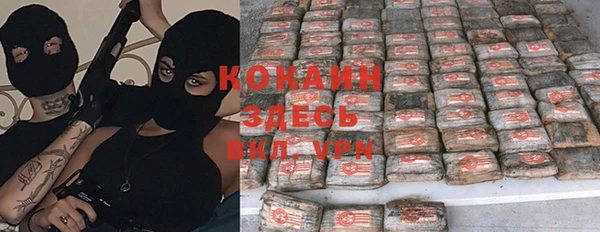 индика Балабаново