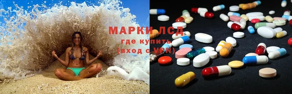 индика Балабаново