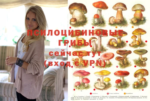 индика Балабаново