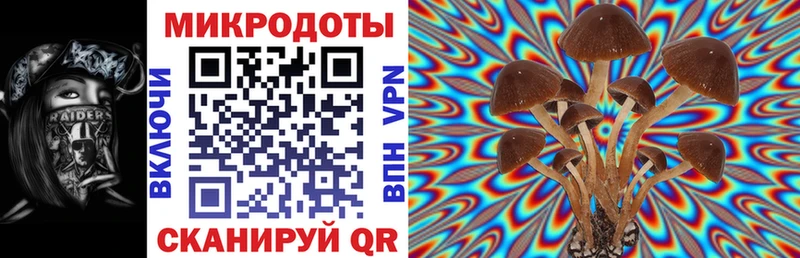 Галлюциногенные грибы мухоморы  наркотики  Порхов 