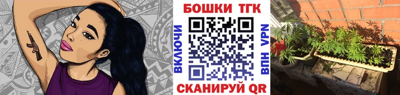 Канабис THC 21%  MEGA как войти  Порхов 